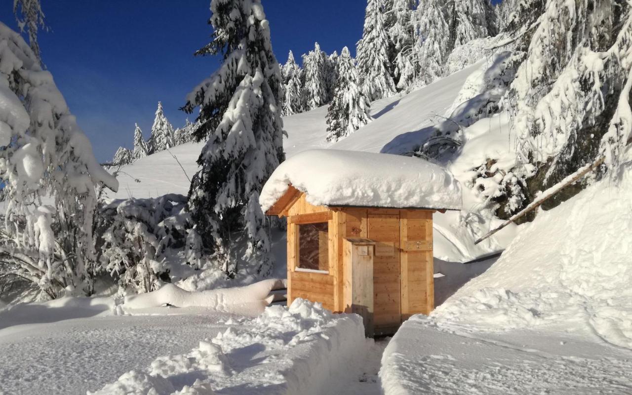 Chalet Panorama Himmelreichhof Innichen Exteriör bild